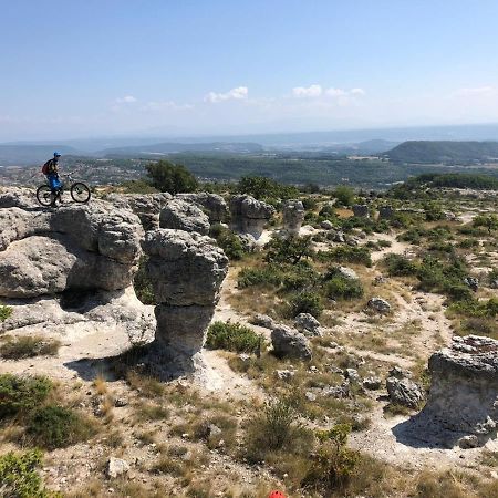 Rêve de Provence Villa avec jardin et piscine Forcalquier Extérieur photo