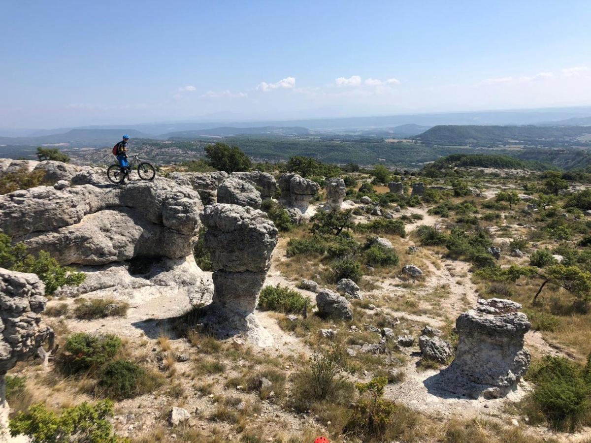 Rêve de Provence Villa avec jardin et piscine Forcalquier Extérieur photo
