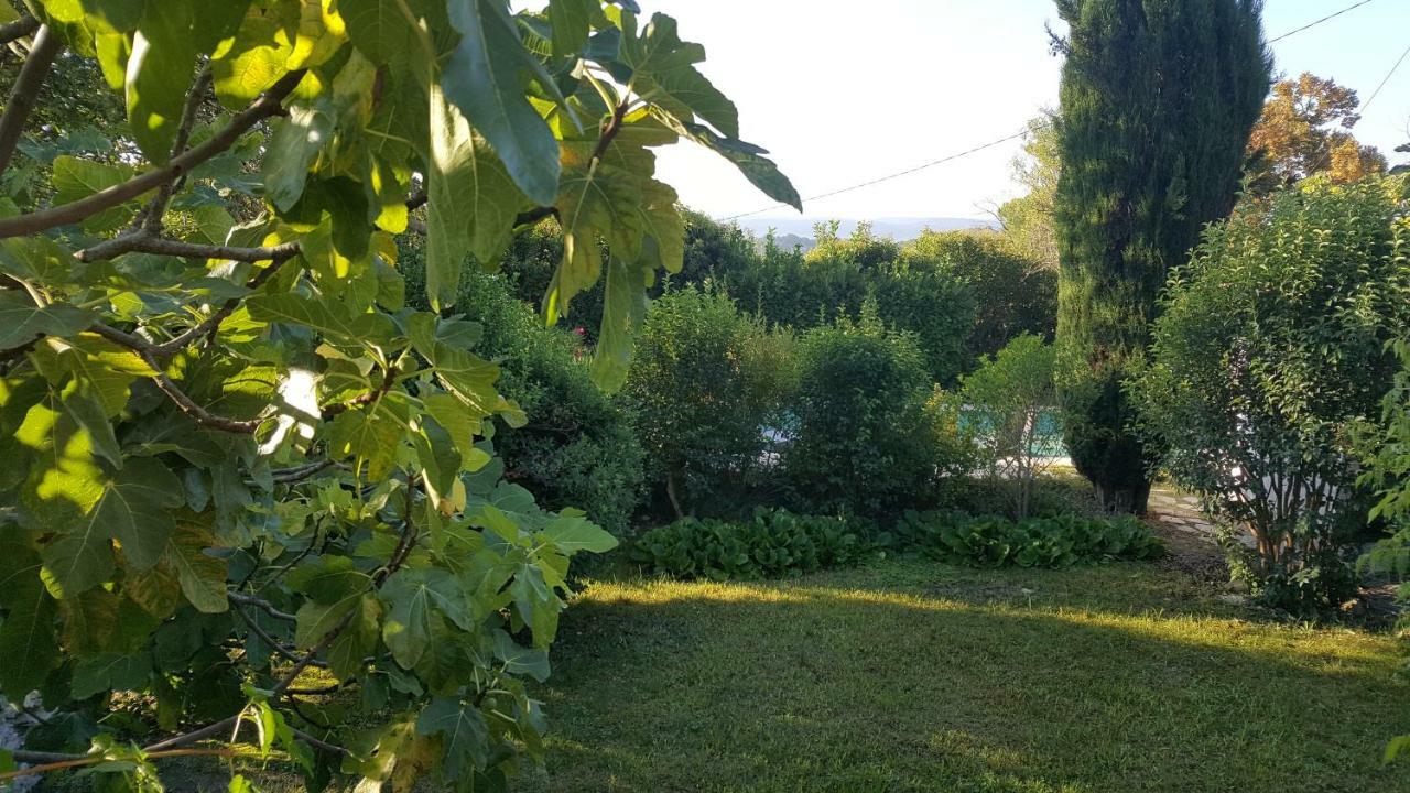 Rêve de Provence Villa avec jardin et piscine Forcalquier Extérieur photo